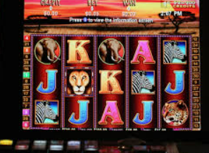 星空电竞app客户端